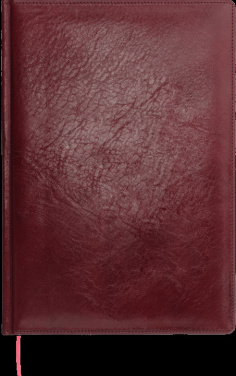 Logotrade Werbegeschenke das Foto: Kalender 645131