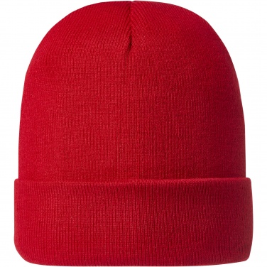 Logotrade corporate gift image of: Irwin beanie