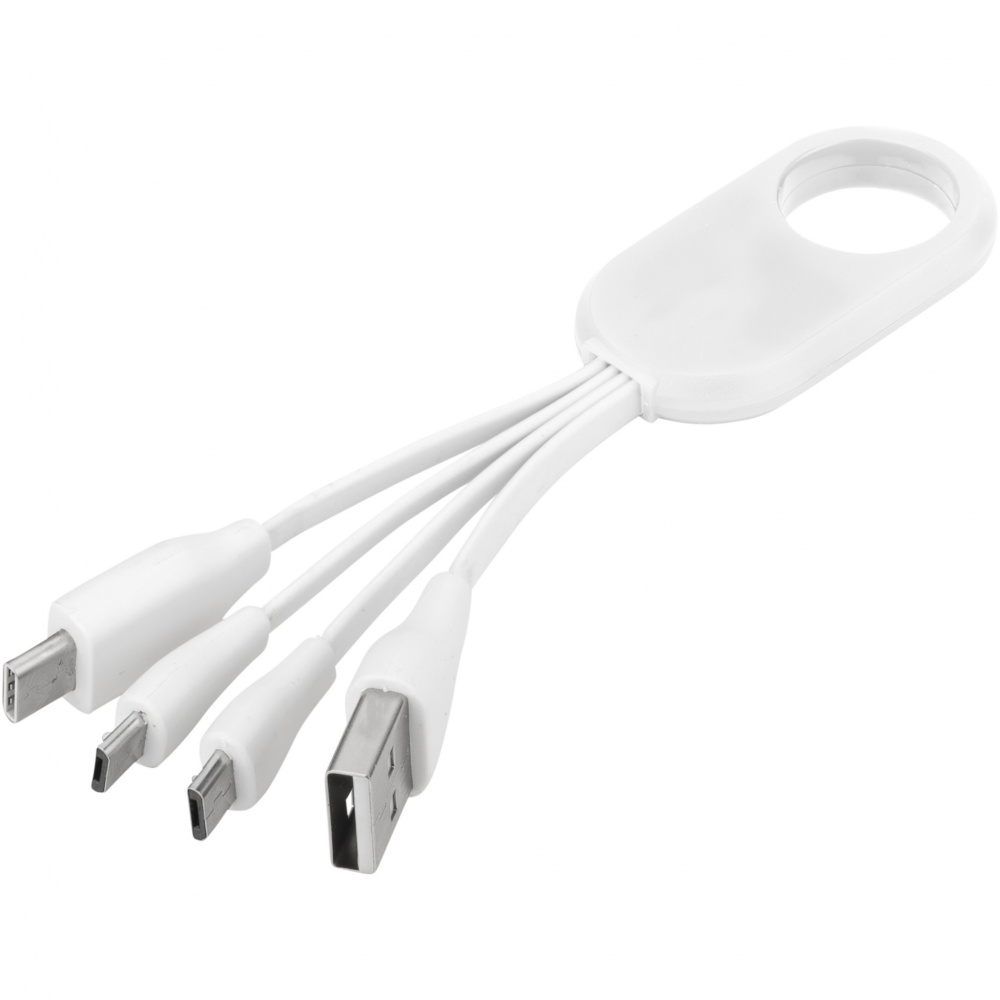 Logotrade promotional product picture of: Troup 4-in-1 charging cable with type-C tip