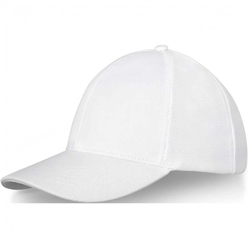 Logotrade promotional merchandise image of: Drake 6 panel trucker cap