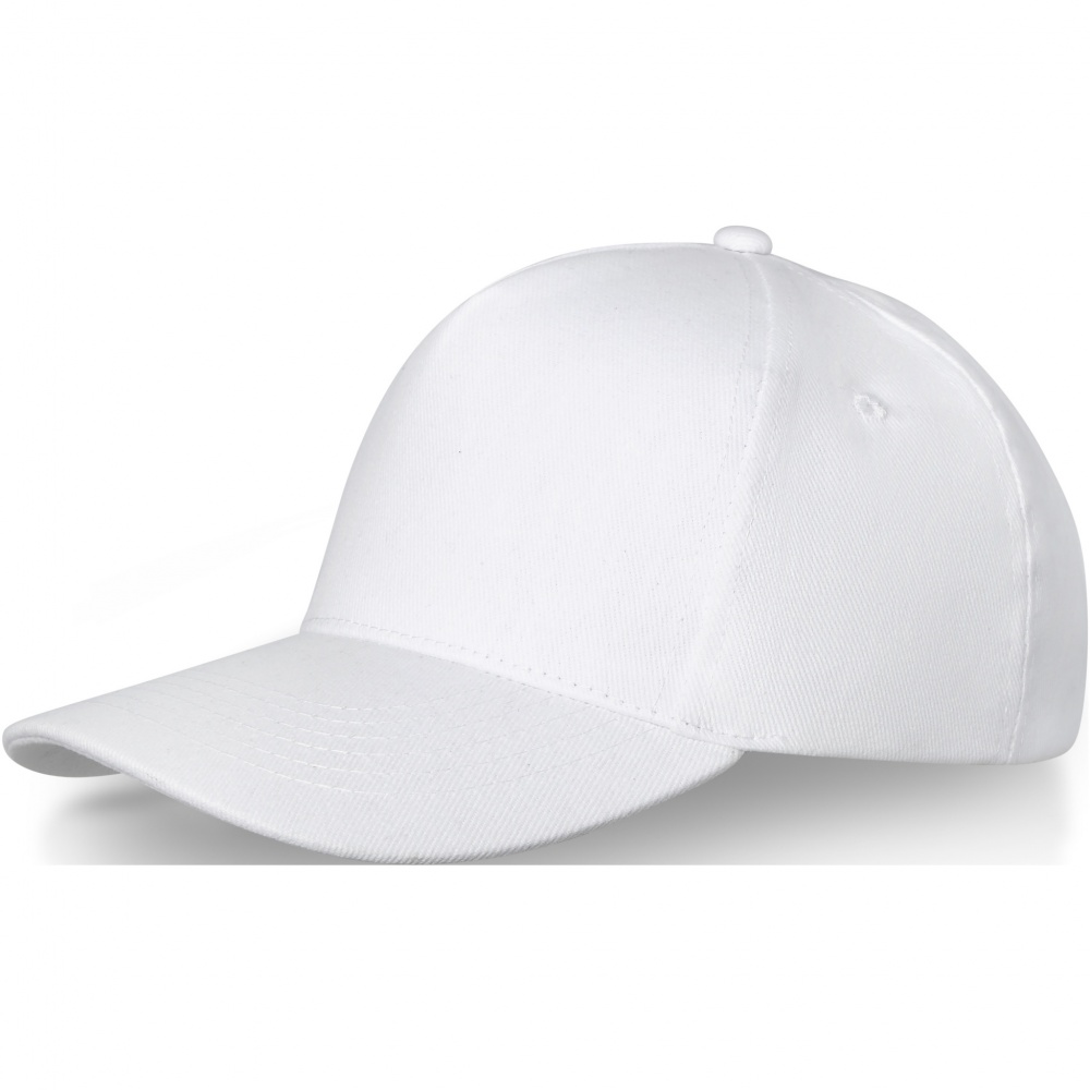 Logo trade promotional products image of: Doyle 5 panel cap