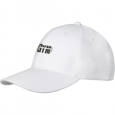 Logotrade promotional merchandise picture of: Davis 6 panel cap