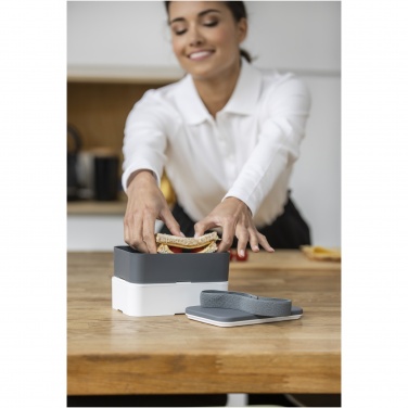 Logotrade promotional giveaway image of: MIYO double layer lunch box