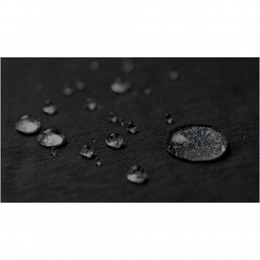 Logotrade promotional merchandise image of: Trailhead GRS recycled lightweight fanny pack 2.5L