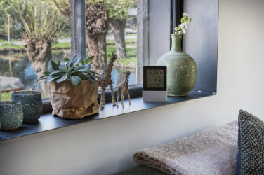 Logo trade promotional giveaway photo of: Indoor/outdoor weather station