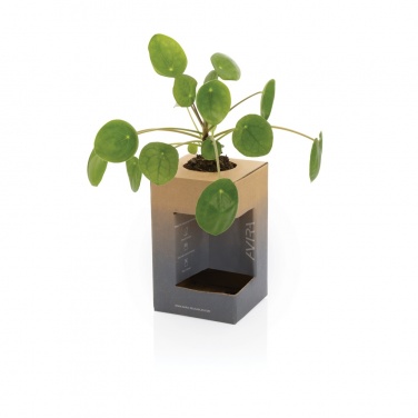 Logotrade promotional merchandise image of: Avira Alya RCS Re-steel tumbler 300 ml