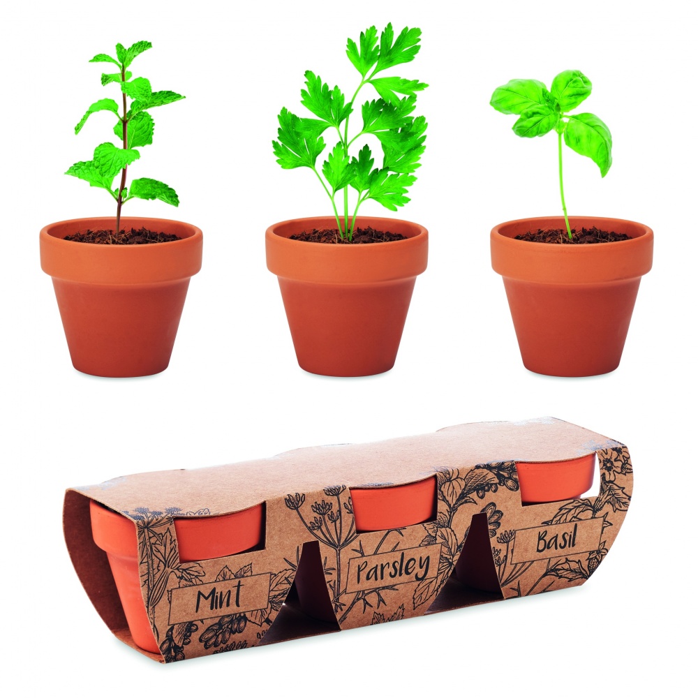 Logo trade corporate gifts picture of: Terracotta 3 herb pot set