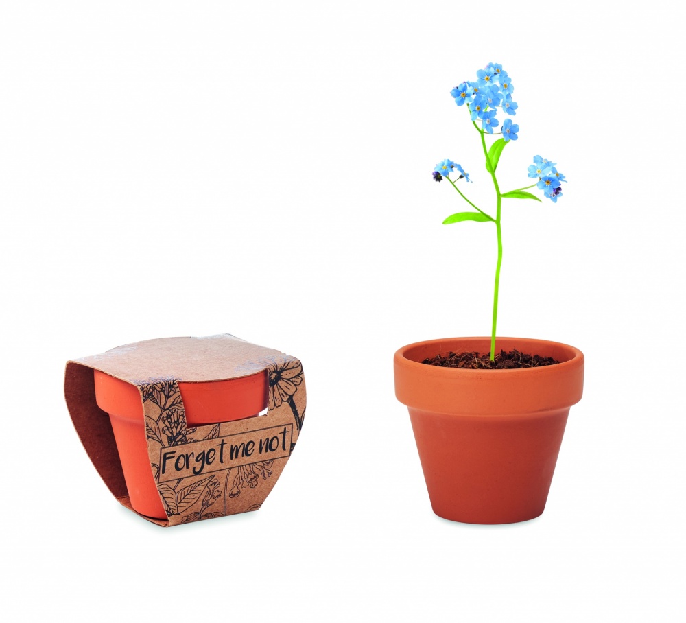 Logotrade corporate gift image of: Terracotta pot 'forget me not'