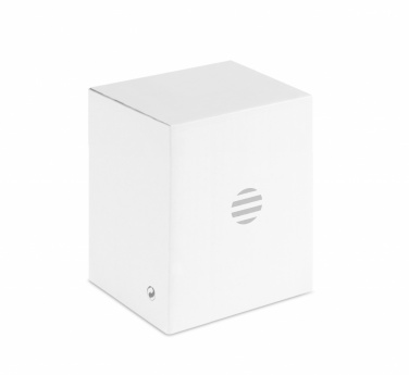 Logo trade promotional gifts image of: 1080P HD webcam and ring light