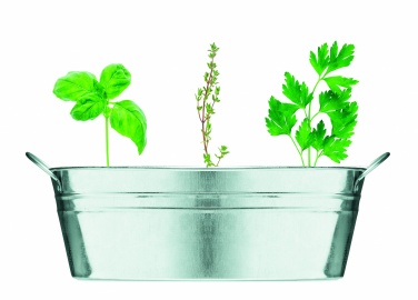 Logotrade corporate gifts photo of: Zinc tub with 3 herbs seeds