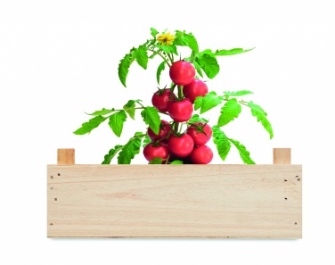 Logotrade promotional merchandise image of: Tomato kit in wooden crate