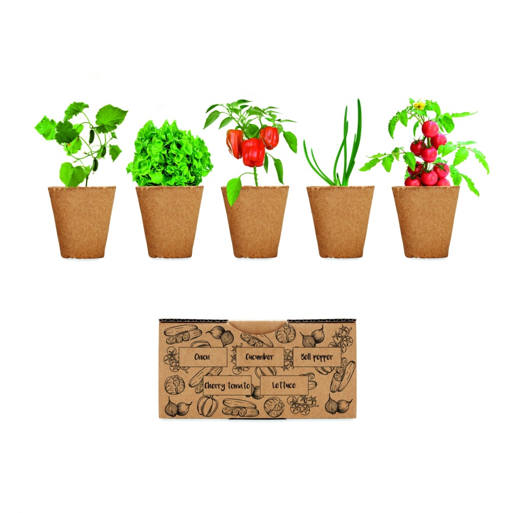Logo trade promotional products picture of: Salad growing kit