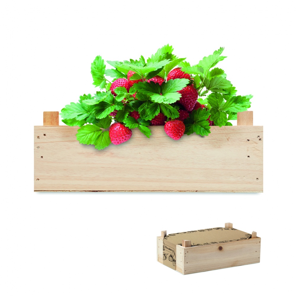 Logotrade advertising product picture of: Strawberry kit in wooden crate