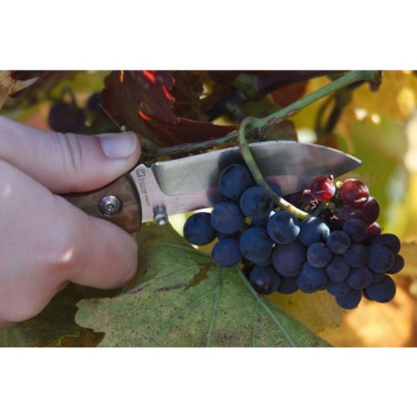 Logotrade promotional merchandise picture of: Pocket knife JUNGLE Schwarzwolf