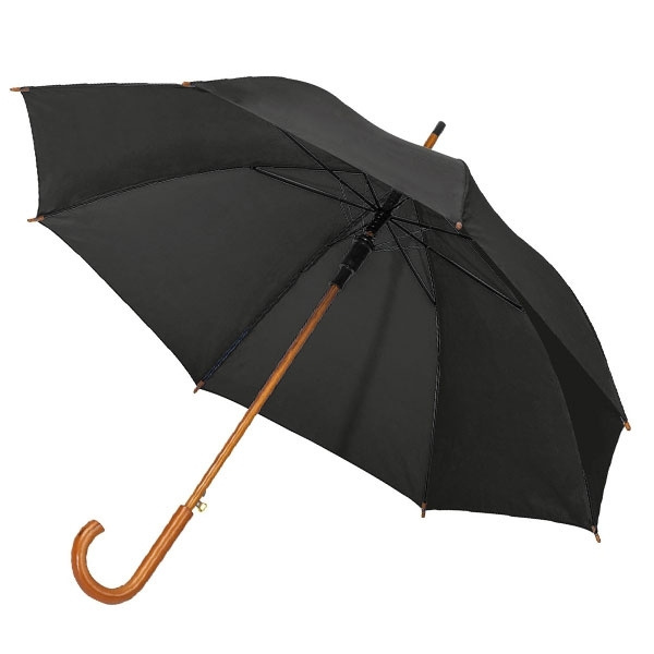 Logotrade business gifts photo of: Automatic Umbrella HASSELT
