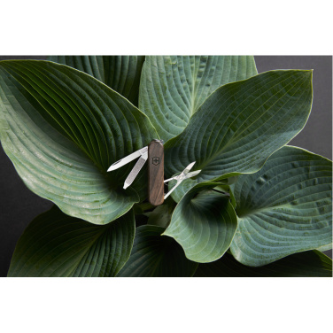 Logotrade corporate gift image of: Pocket knife CLASSIC SD Victorinox