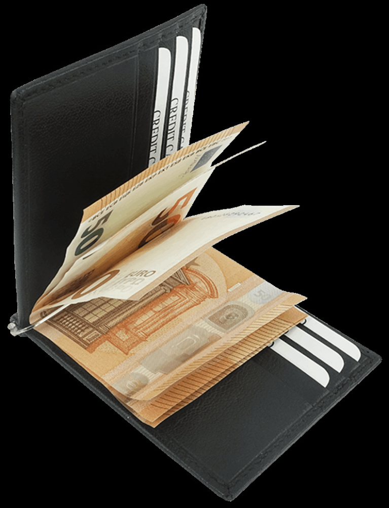 Logotrade promotional merchandise picture of: Wallet 38005200