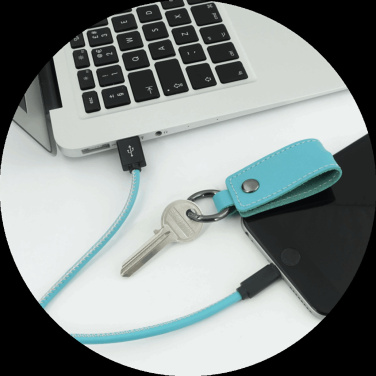 Logotrade promotional giveaway picture of: Keyring 59612900