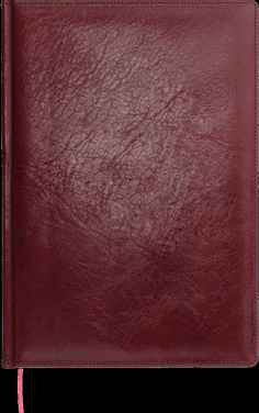 Logo trade promotional gifts image of: Calendar 642131