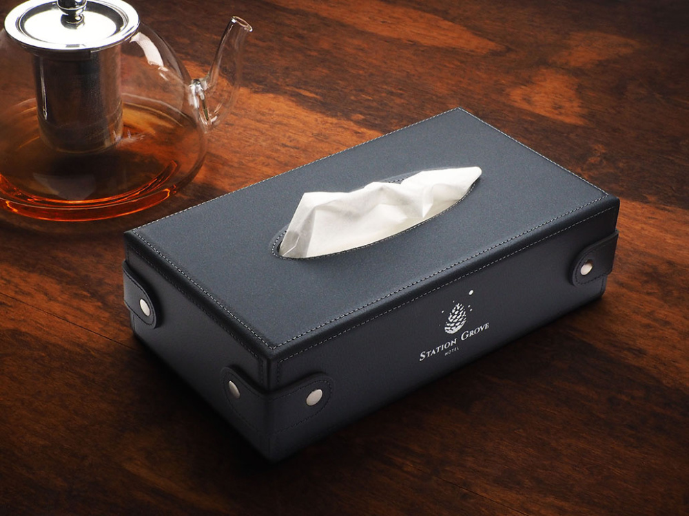 Logotrade promotional merchandise image of: Tissue box 1673319