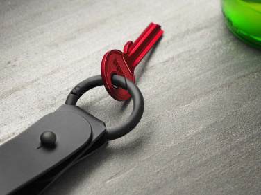 Logotrade promotional merchandise picture of: Keyring 1709094