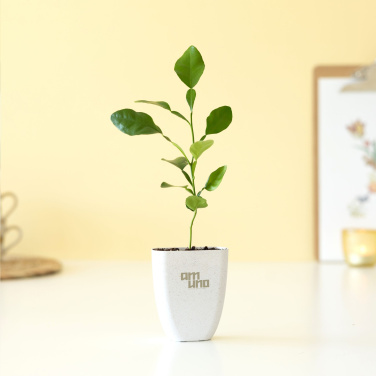 Logotrade corporate gifts photo of: Treemore Letterbox Trees Kaffir Lemon