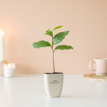 Logo trade promotional gift photo of: Treemore Letterbox Trees Tea plant