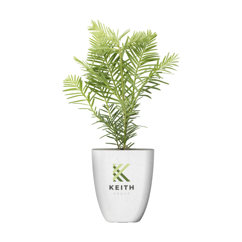 Logotrade promotional giveaway picture of: Treemore Letterbox Trees Giant Sequoia