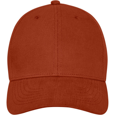Logo trade promotional item photo of: Davis 6 panel cap