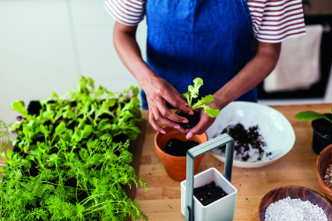 Logo trade corporate gifts image of: Indoor garden with LED light