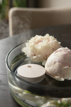 Logotrade promotional merchandise picture of: Breevia RCS rplasic re-chargeable floating humidifier