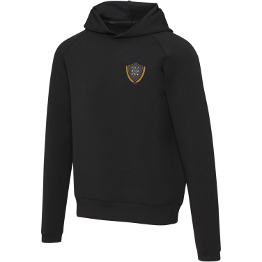 Logo trade promotional giveaways image of: Danali unisex interlock sports hoodie