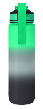 Logo trade promotional giveaway photo of: Sports water bottle RPET 1L