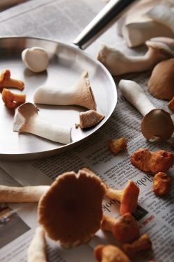 Logo trade ärikingid foto: VINGA Vici välipann