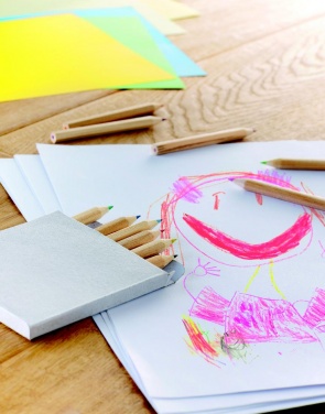 Logo trade firmakingituse pilt: 12 värvilise pliiatsi komplekti