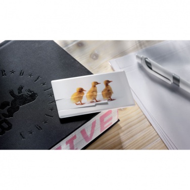 Logotrade firmakingitused pilt: Krediitkaart. USB-välkmälu 4 GB