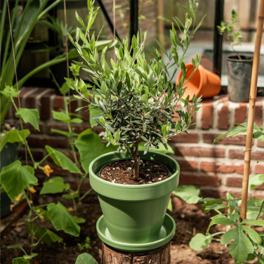 Logo trade reklaamtooted foto: Treemore Letterbox Trees Olive