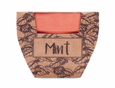 Logo trade liikelahjat tuotekuva: Mintun siemeniä ruukussa