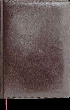 Logotrade mainoslahja tuotekuva: Kalenteri 642131