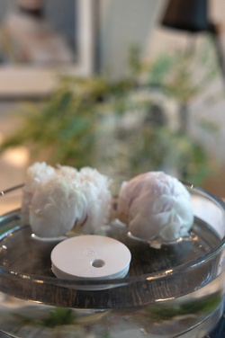 Logotrade dovana nuotrauka: „Breevia RCS“ plastikinis įkraunamas plaukiojantis drėkintuvas